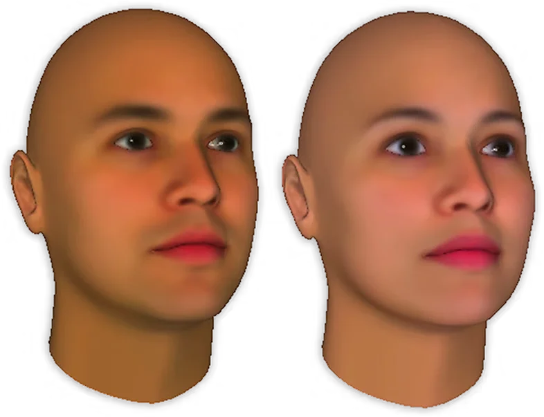 face tool preview